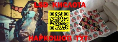 гашик Дубна