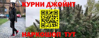 гашик Дубна
