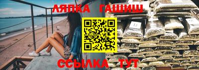 гашик Дубна