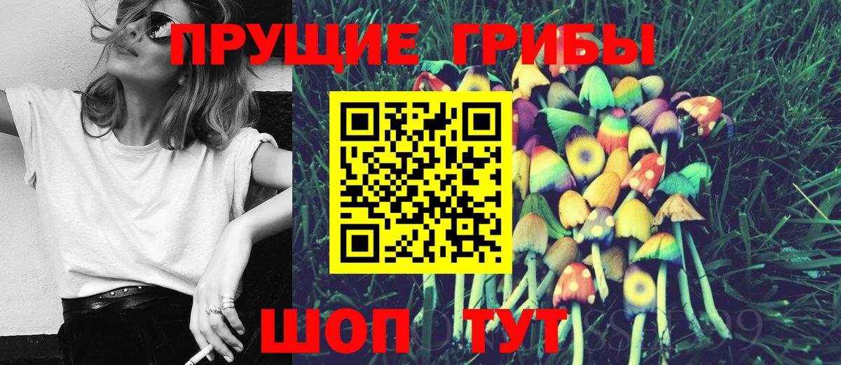 Псилоцибиновые грибы Psilocybine cubensis  Псилоцибиновые грибы Psilocybe  Нерюнгри  Вход с VPN 